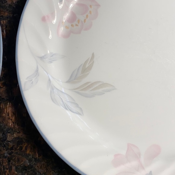 4 Corelle Pink Trio 10 1/4” Dinner Plates - Picture 4 of 8